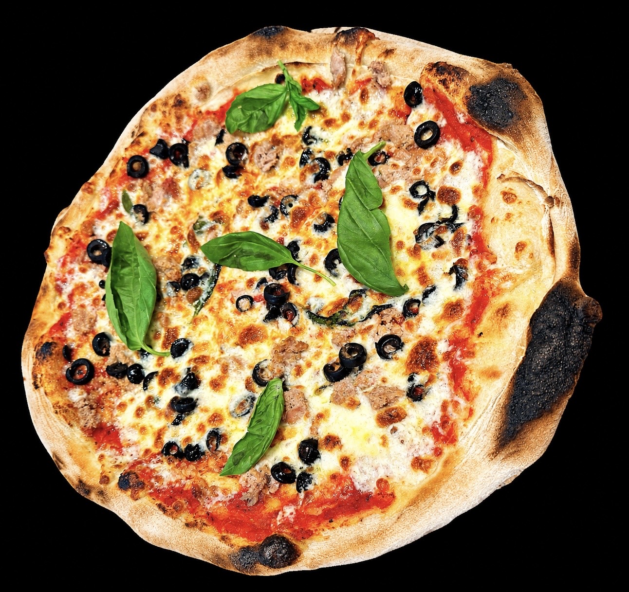 Pizza Thon sortie du four à bois